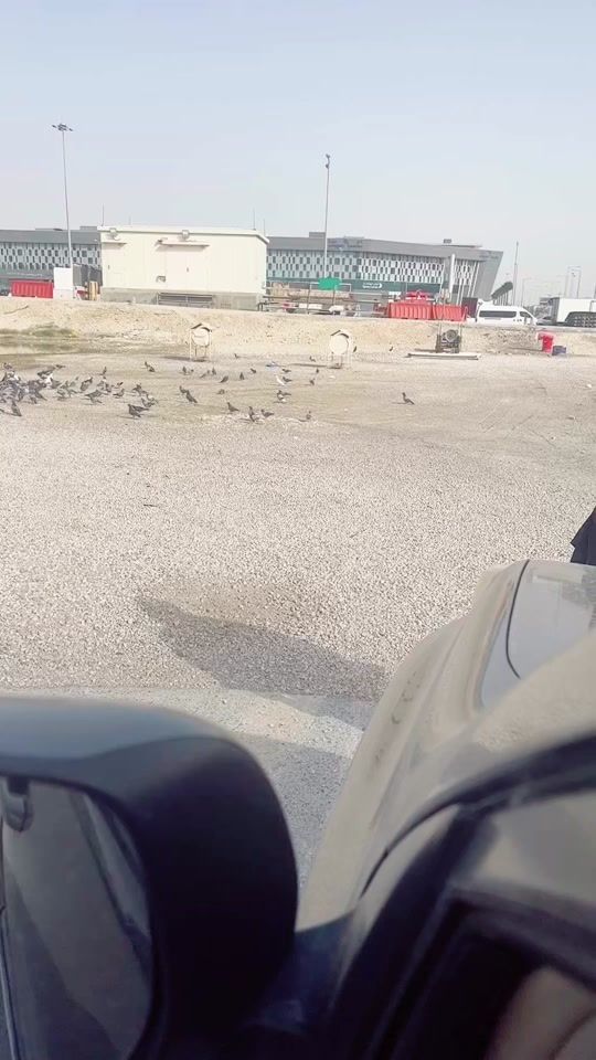 TikTok video thumbnail by mukkathe_penn_