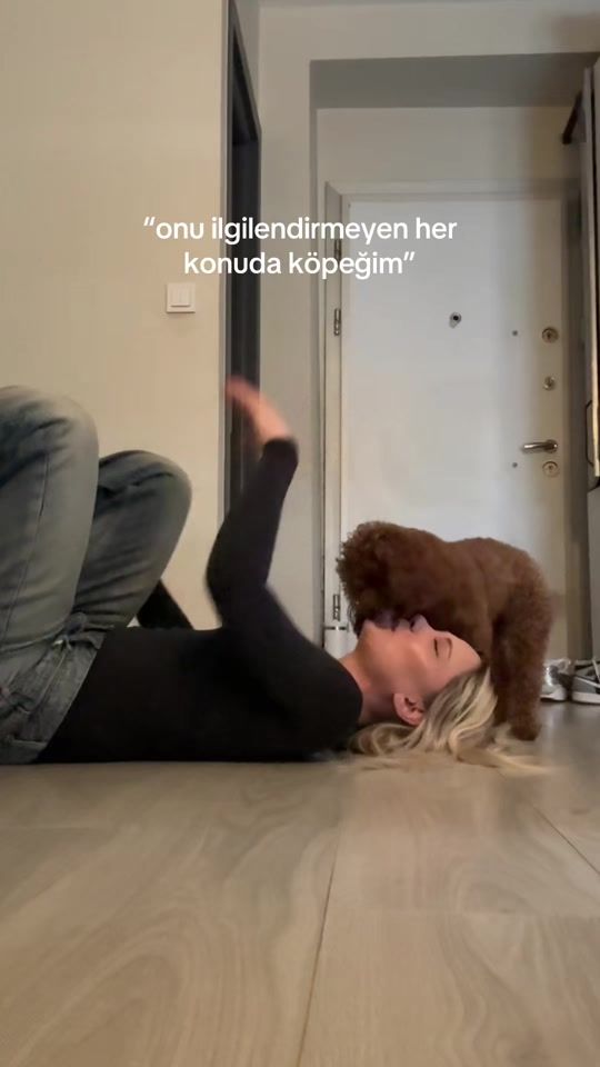 TikTok video thumbnail by denefgncy