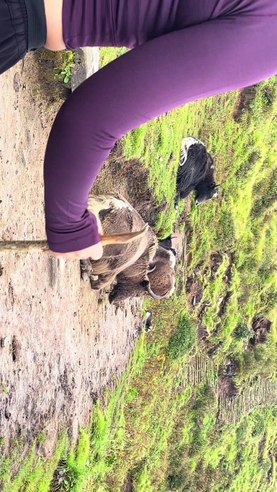 TikTok video thumbnail by noor_kh61