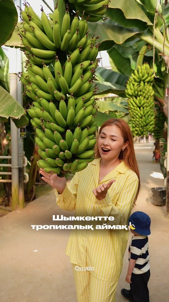 TikTok video thumbnail by qayda_shymkent