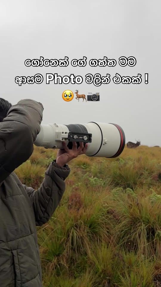TikTok video thumbnail by ravisara.jayamanna