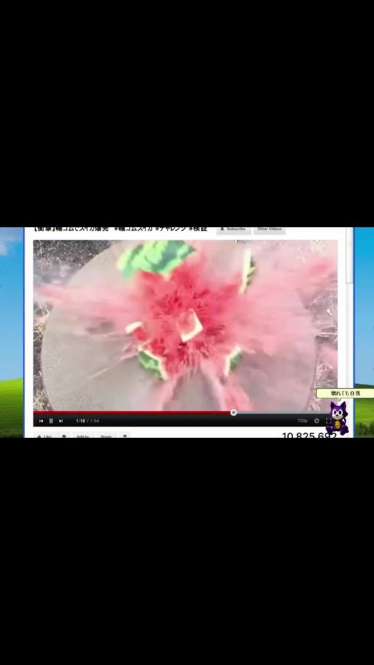 TikTok video thumbnail by genhoshino_official