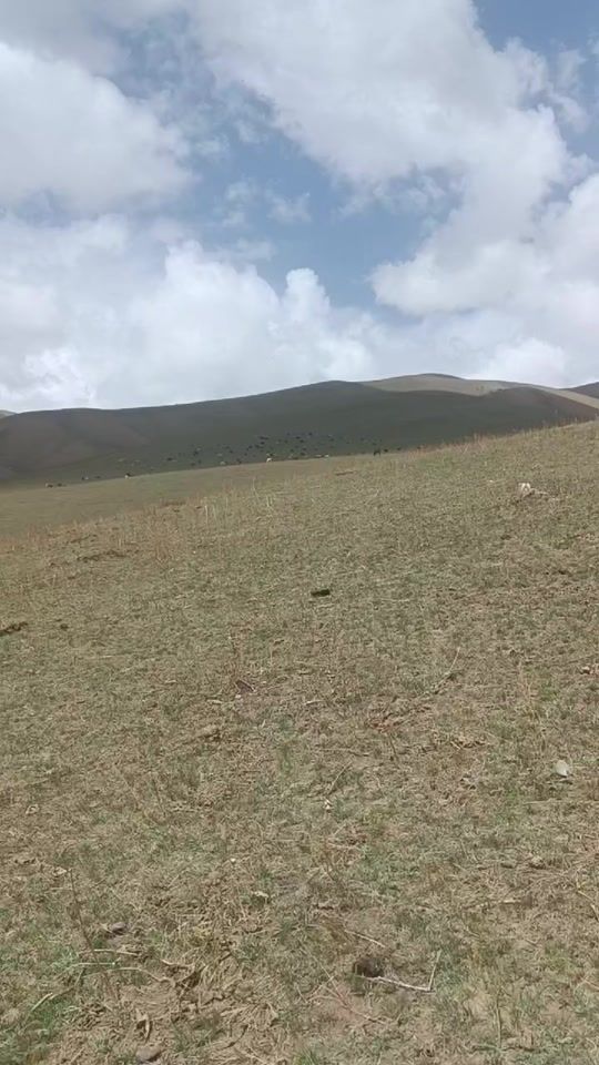 TikTok video thumbnail by user5161754656116