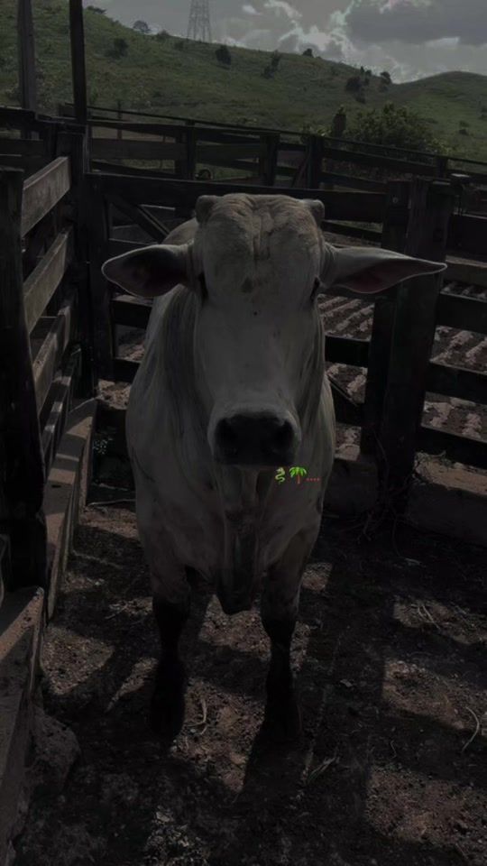 TikTok video thumbnail by moreno5752