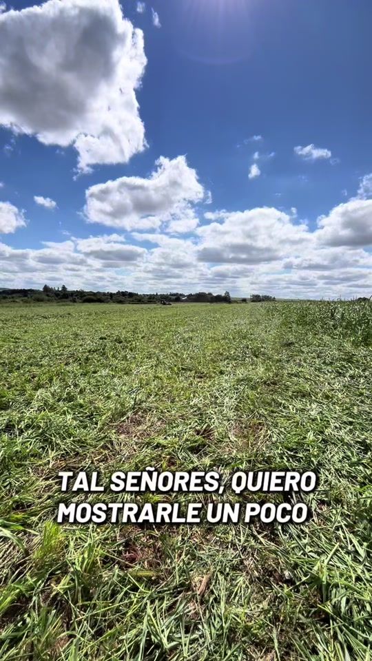 TikTok video thumbnail by rodrigo_rr_
