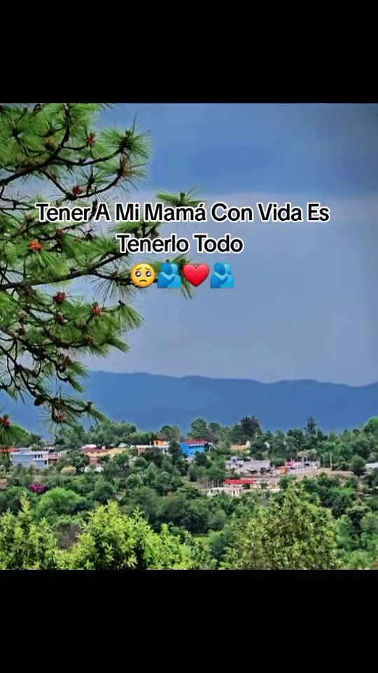 TikTok video thumbnail by user3lavfrt