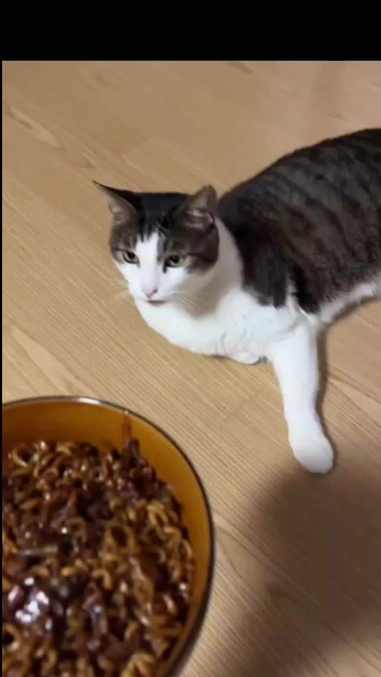 TikTok video thumbnail by lylyanht