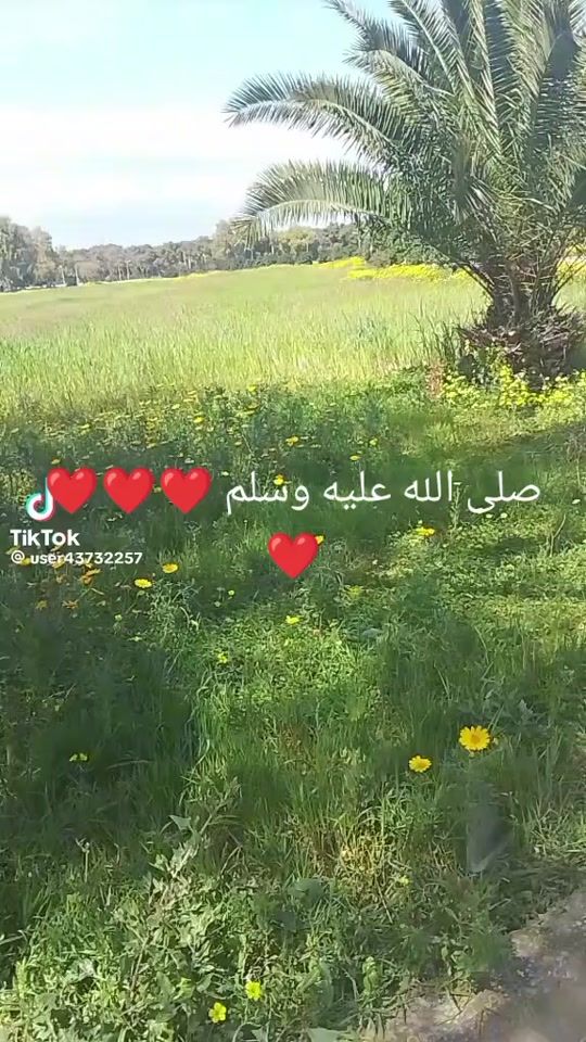 TikTok video thumbnail by farjanifarjanimar