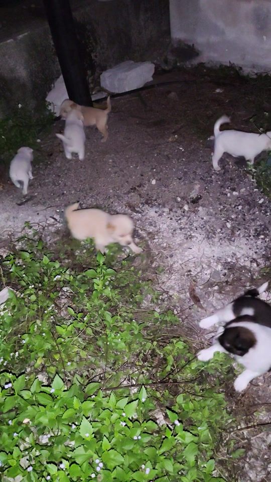 TikTok video thumbnail by pant_010