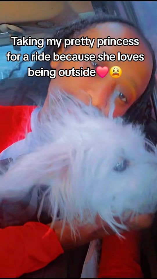 TikTok video thumbnail by estielle0