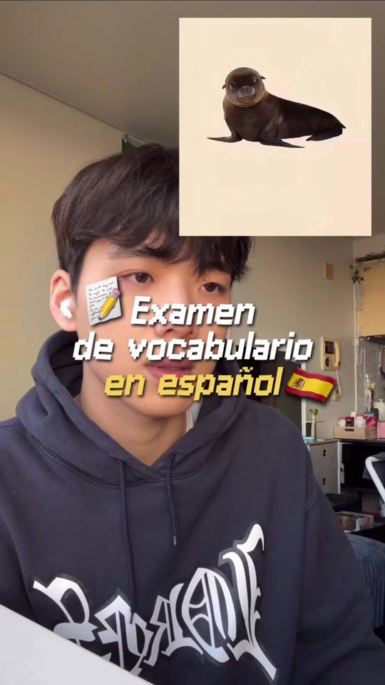 TikTok video thumbnail by leitoydonitas