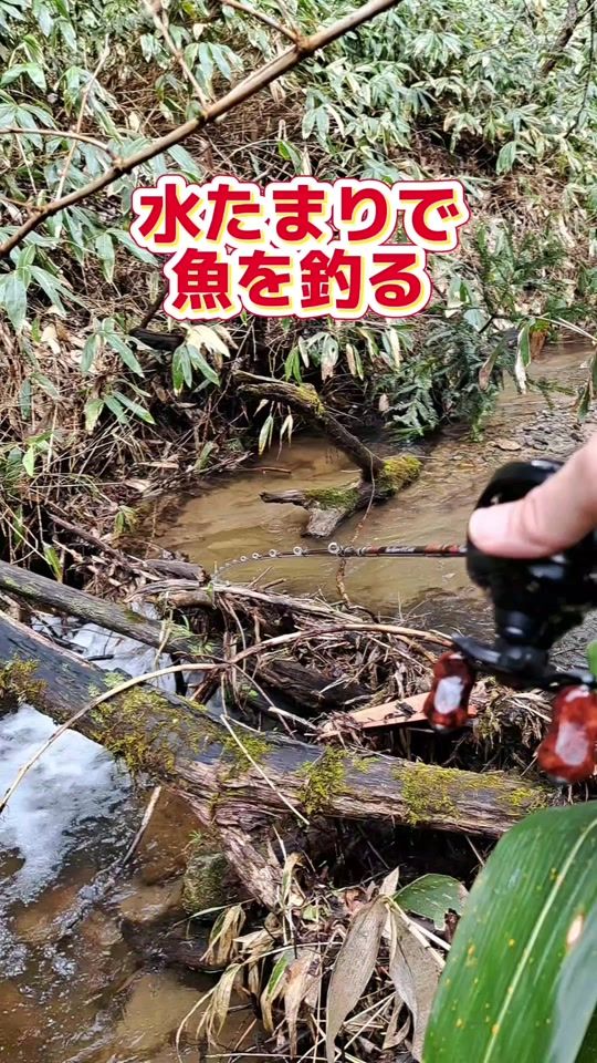 TikTok video thumbnail by hiroshimatanisann
