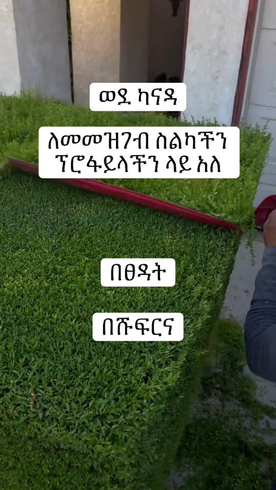 TikTok video thumbnail by ethio.canda.travl50