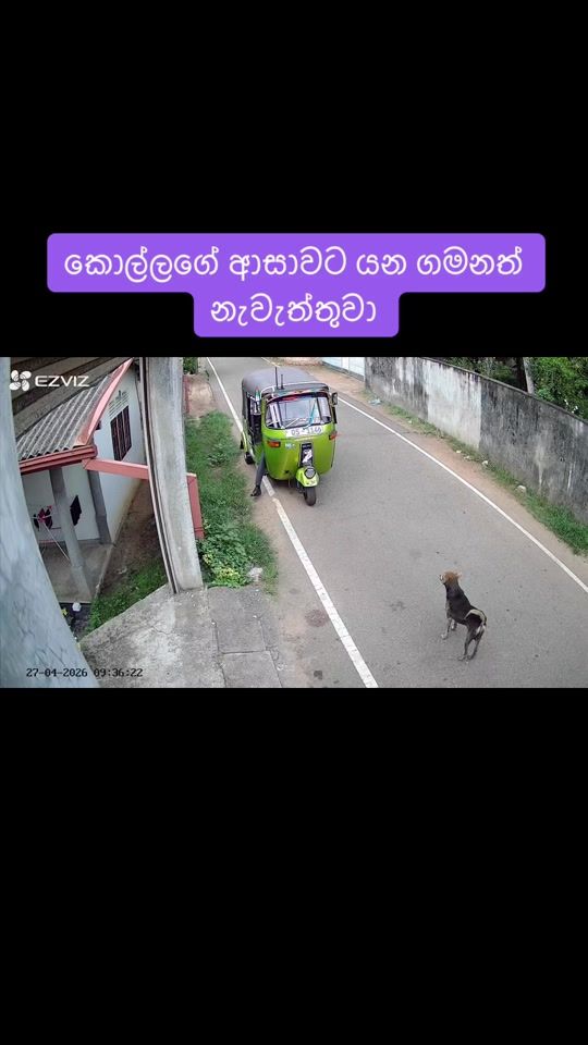 TikTok video thumbnail by romapurplequeen