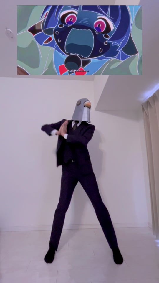 TikTok video thumbnail by salarypigeon_hatoryman