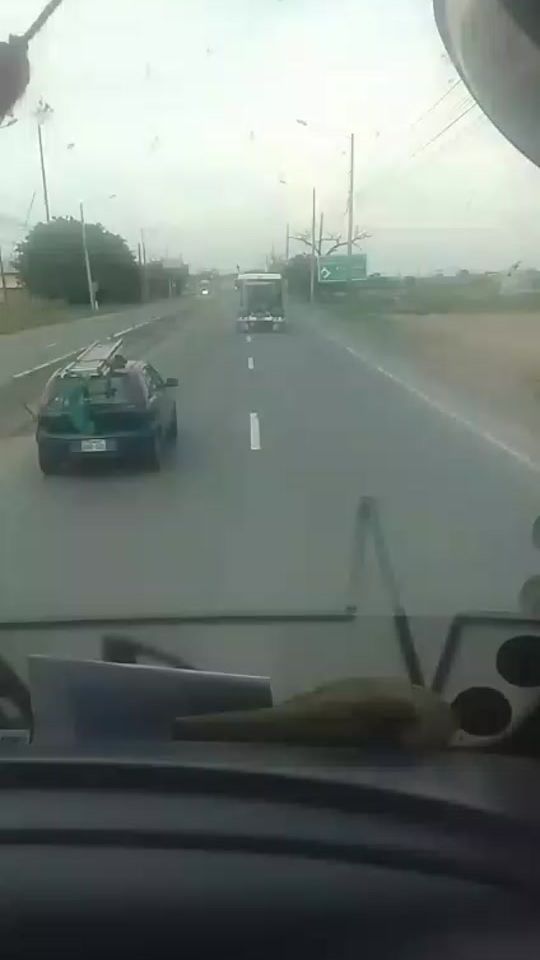 TikTok video thumbnail by guayacotrucks