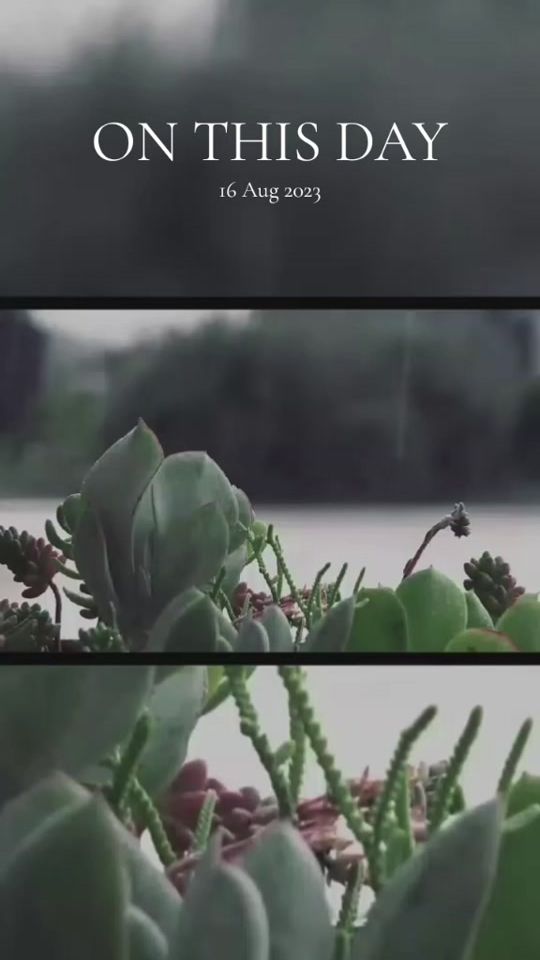 TikTok video thumbnail by leftie.en.lyrics