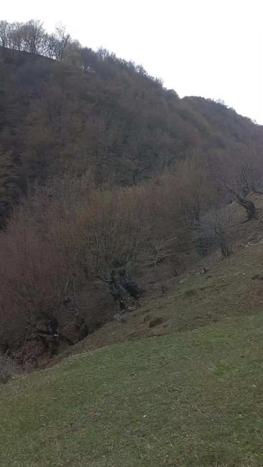 TikTok video thumbnail by elcin_gedebeyli