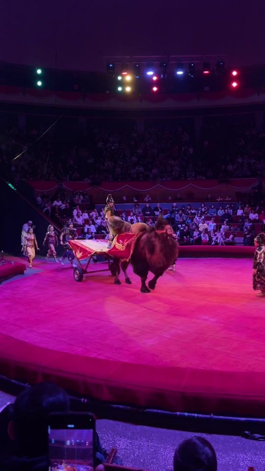 TikTok video thumbnail by georgiancircus