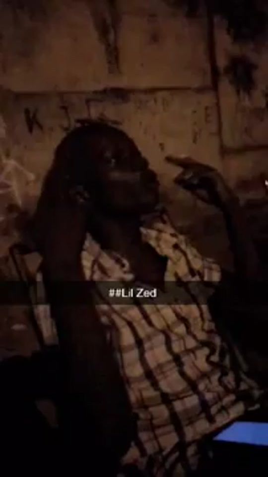 TikTok video thumbnail by lil_zed.bandit