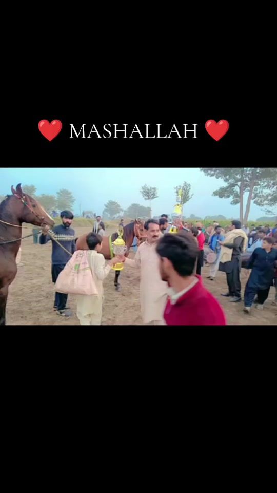 TikTok video thumbnail by sonubhatti_23