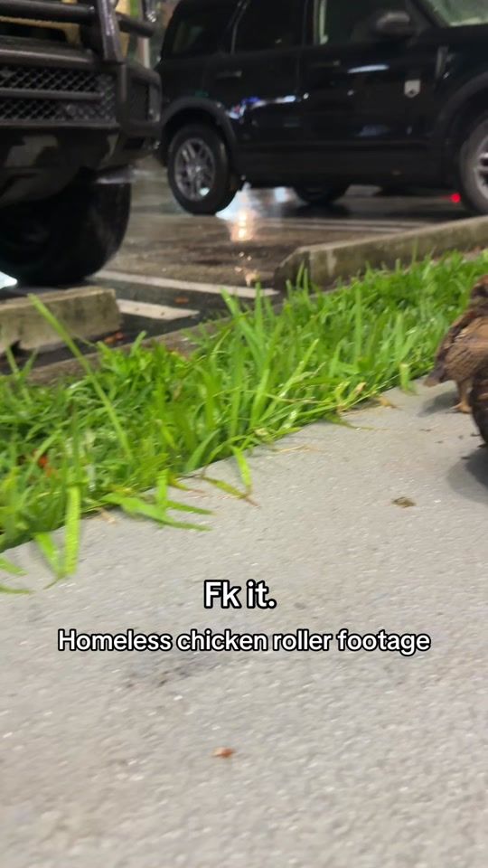 TikTok video thumbnail by zlamthunk