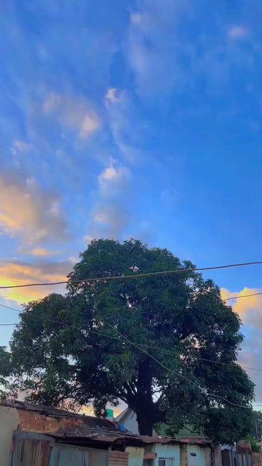TikTok video thumbnail by roikalash04