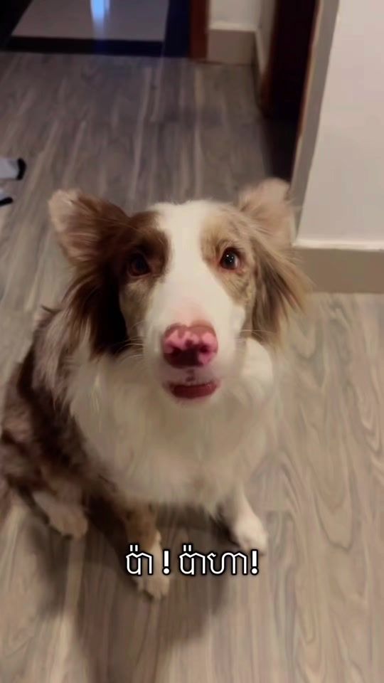 TikTok video thumbnail by zuzziethebc