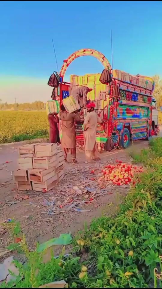 TikTok video thumbnail by ustad.nadeem.usta4