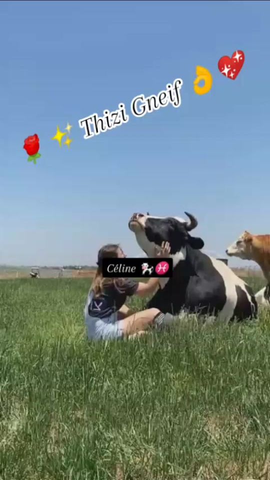 TikTok video thumbnail by .n7491