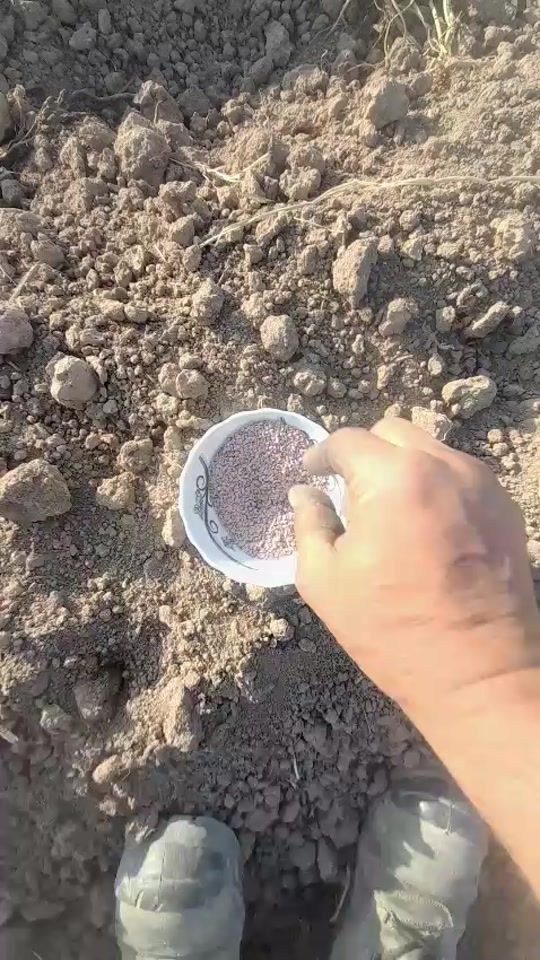 TikTok video thumbnail by kent_tesarfat