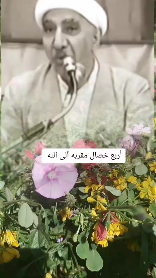 TikTok video thumbnail by m.1992.1992