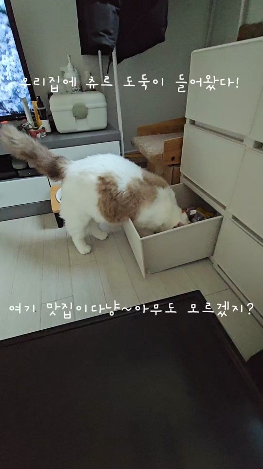 TikTok video thumbnail by thswocjf