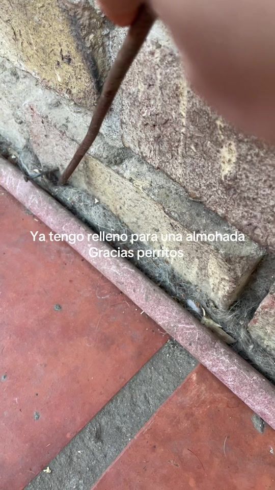 TikTok video thumbnail by camii.g.f