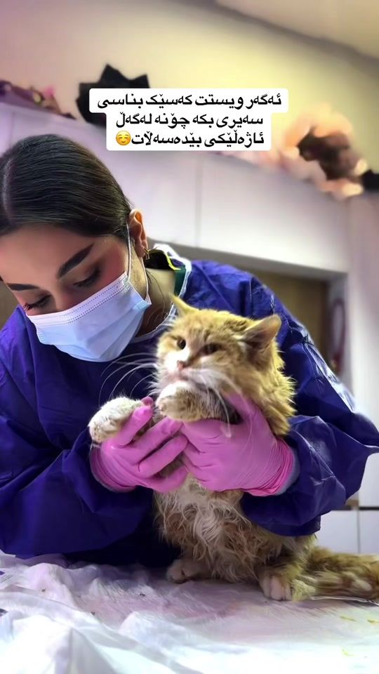 TikTok video thumbnail by dr_rayanali