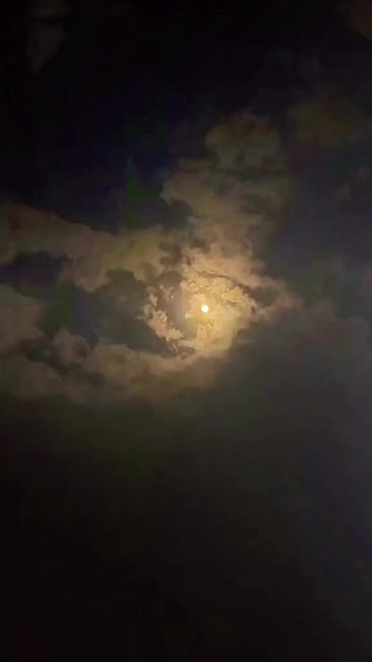 TikTok video thumbnail by x5w15