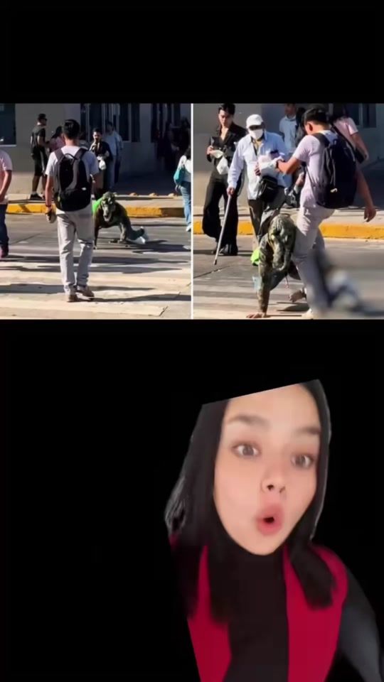 TikTok video thumbnail by ijosephpinta