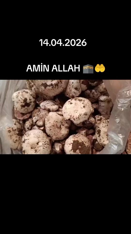 TikTok video thumbnail by yaallah587