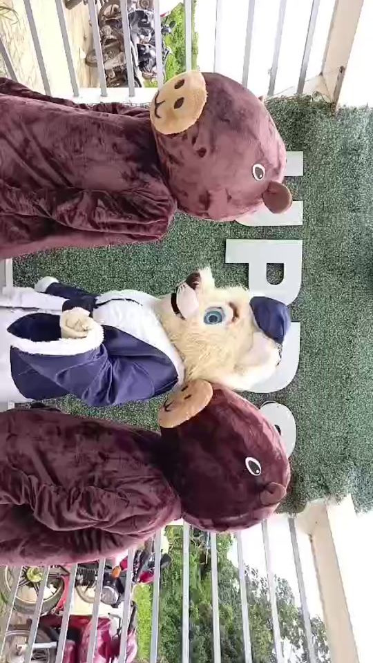 TikTok video thumbnail by amigomunicipal_gamt