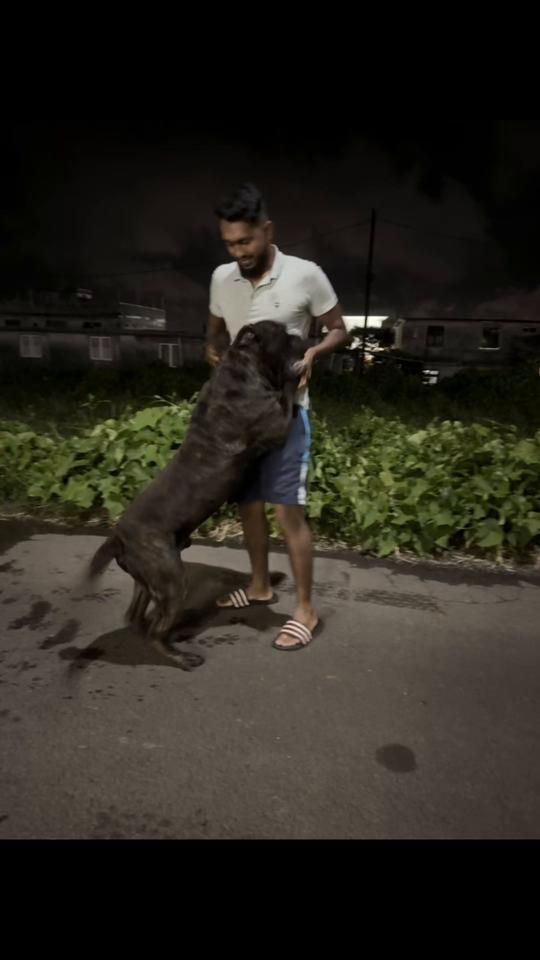 TikTok video thumbnail by jotham.07