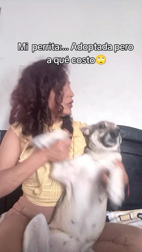 TikTok video thumbnail by alexandra.f.r