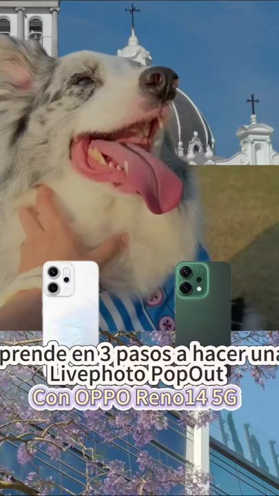 TikTok video thumbnail by oppoguate
