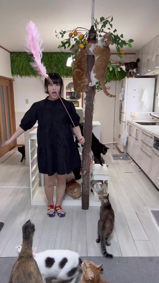 TikTok video thumbnail by mofumofu.tv