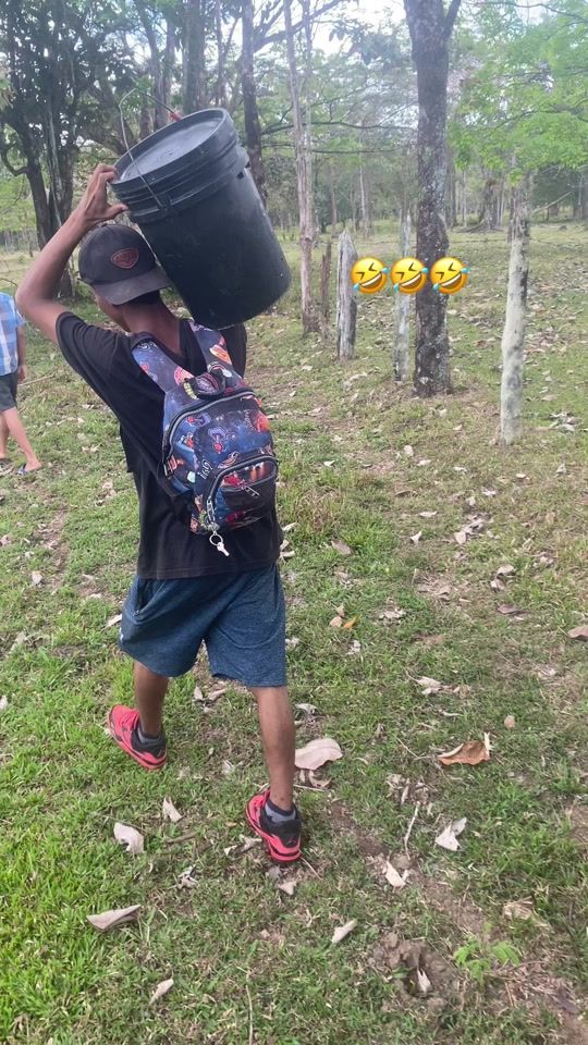 TikTok video thumbnail by norvinbreyes