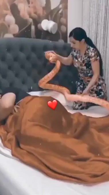 TikTok video thumbnail by moychechagim66