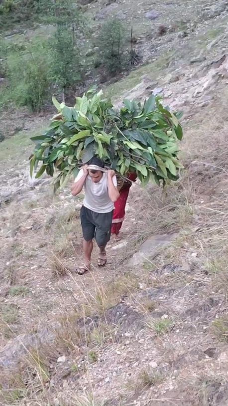 TikTok video thumbnail by padambdrkc2