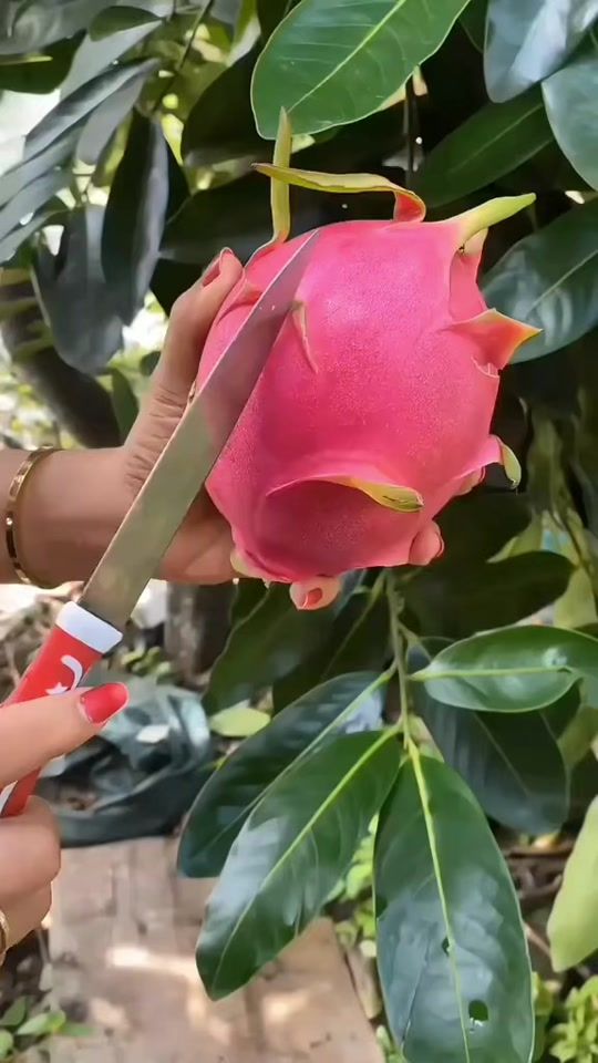 TikTok video thumbnail by .tik.arafat.901