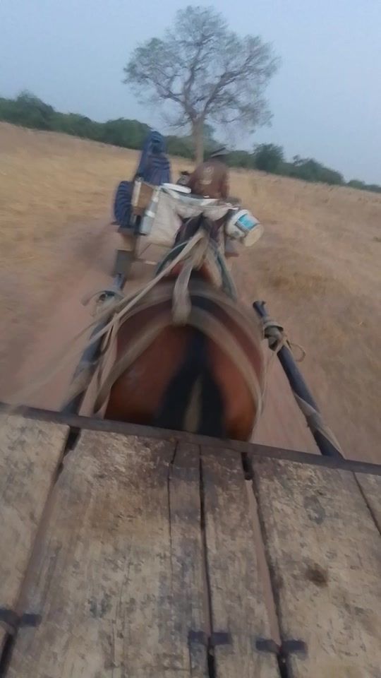 TikTok video thumbnail by user9508385619340