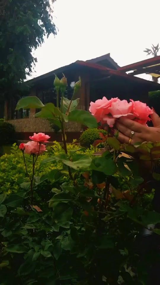 TikTok video thumbnail by shantaa0000