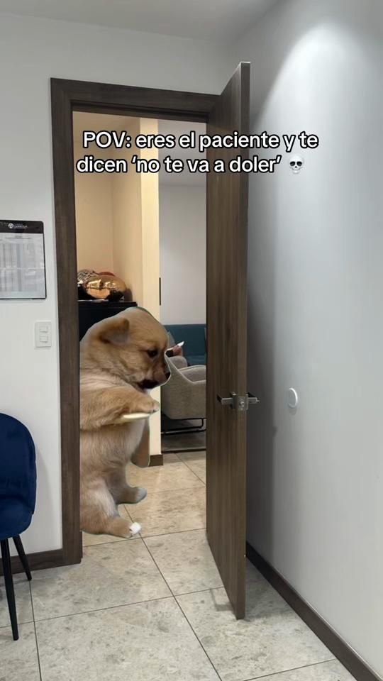 TikTok video thumbnail by negranorma_30